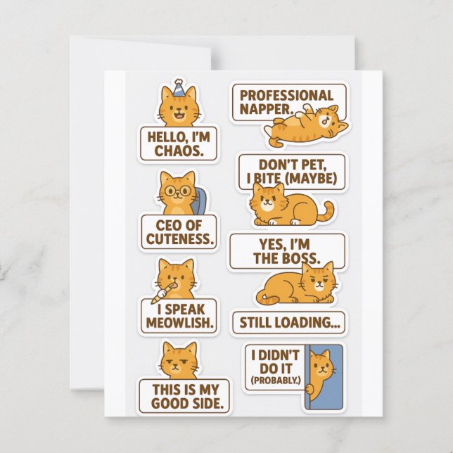 "Funny & Cute Cat Stickers - Skrapbook & Craft Anv (Framsida)