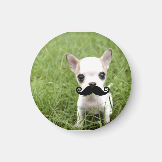 Funny Cute Chihuahua med Mustache Magnet (Framsidan)