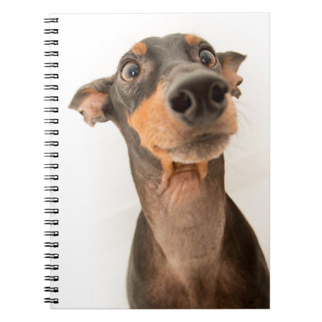 Funny Cute Doberman Puppy Hund Anteckningsbok (Framsidan)