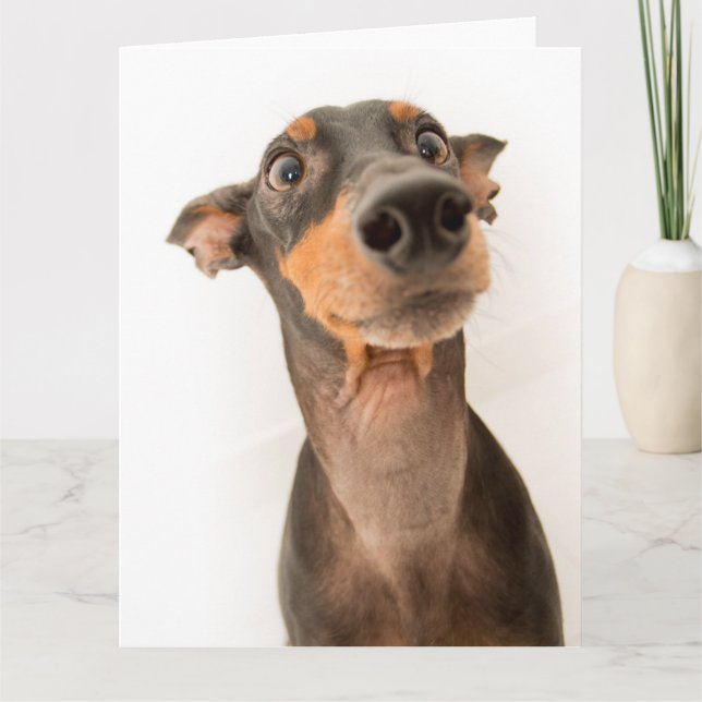 Funny Cute Doberman Puppy Hund Kort (Framsida)