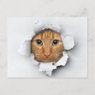 Funny Cute Ginger Mackerel Tabby katt Vykort