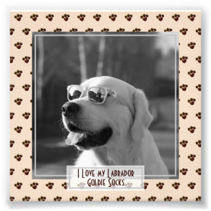 Funny Cute Golden Labrador Retriever PHOTO Named Fototryck