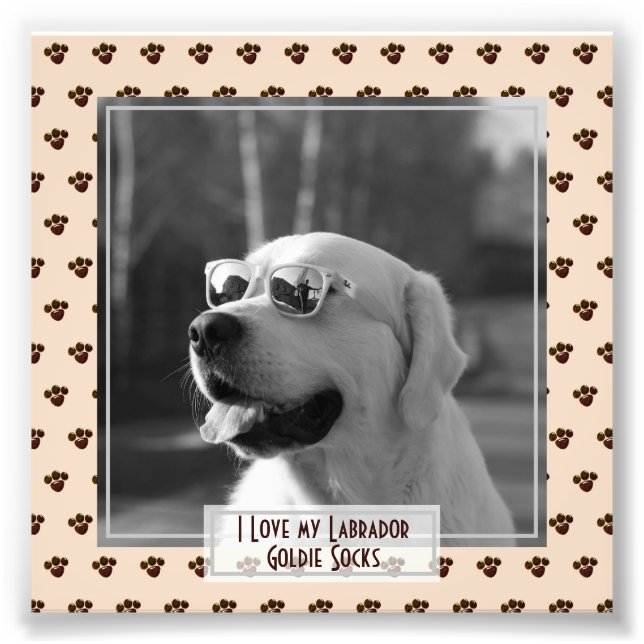 Funny Cute Golden Labrador Retriever PHOTO Named Fototryck (Framsidan)
