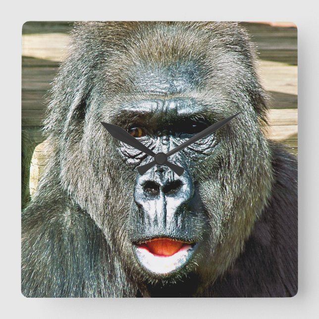FUNNY CUTE GORILLA FYRKANTIG KLOCKA (Framsida)