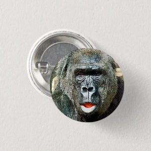 FUNNY CUTE GORILLA KNAPP