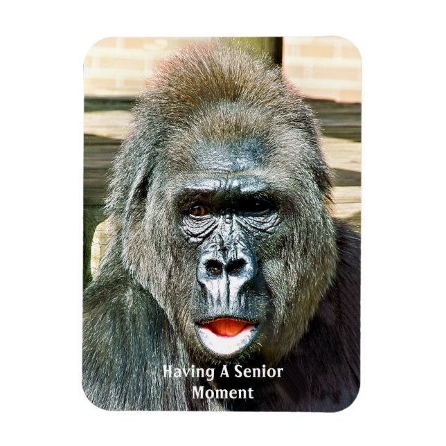 FUNNY CUTE GORILLA MAGNET (Vertikal)