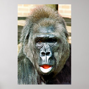 FUNNY CUTE GORILLA POSTER