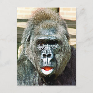 FUNNY CUTE GORILLA VYKORT