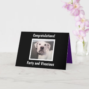 Funny Cute Grumpy White Hund 40:e födelsedagen sva Kort
