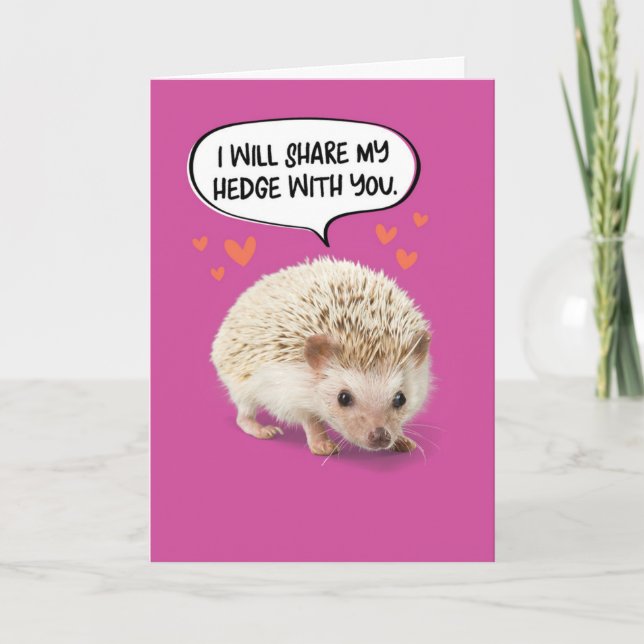 Funny Cute Hedgehog Birthday Kort (Framsida)