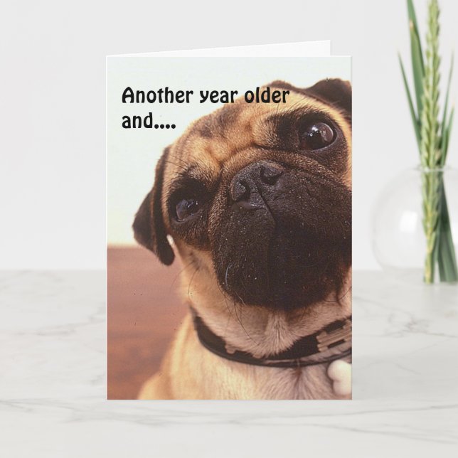 Funny Cute Humous Pug Hund Birthday Card Kort (Framsida)
