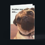 Funny Cute Humous Pug Hund Birthday Card Kort<br><div class="desc">"Ännu ett år äldre och... "Du är fortfarande lika söt som en skrynklig pug!" Ett leende gav Grattis på födelsedagen/Lycklig Far-dagskort att skicka! Byt text till kostym efter behov eller lämna den som den är!</div>