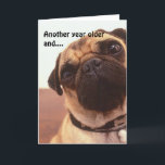 Funny Cute Humous Pug Hund Birthday Card Kort<br><div class="desc">"Ännu ett år äldre och... "Du är fortfarande lika söt som en skrynklig pug!" Ett leende gav Grattis på födelsedagen/Lycklig Far-dagskort att skicka! Byt text till kostym efter behov eller lämna den som den är!</div>