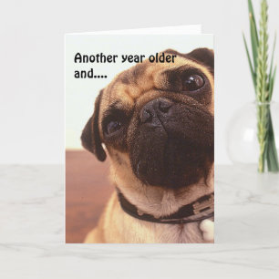Funny Cute Humous Pug Hund Birthday Card Kort