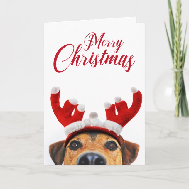 Funny Cute Hund Reindeer Antler Headband Jul Kort (Framsida)