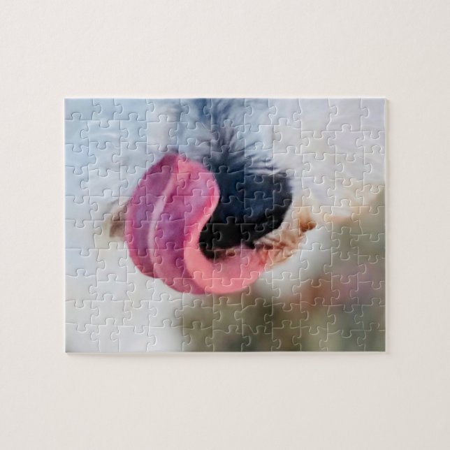 Funny Cute Hund White Schnauzer Puzzle Pussel (Horisontell)