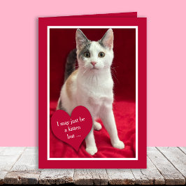 Funny Cute Kitten Cat Valentines Puns Card Helgkort