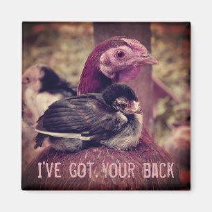 Funny Cute Mor Hen och Chick Magnet