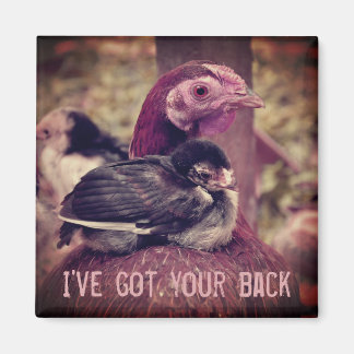 Funny Cute Mor Hen och Chick Magnet