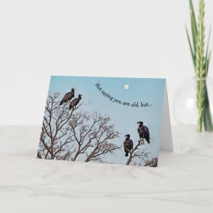 Funny Cute Old Guy Vultures Birthday Card Kort