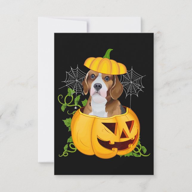 Funny Cute Pumpkin Halloween Beagle Witch Pumpkin OSA Kort (Framsida)