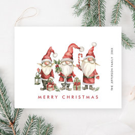 Funny Cute Santa Gnomes-Helgdag Vykort