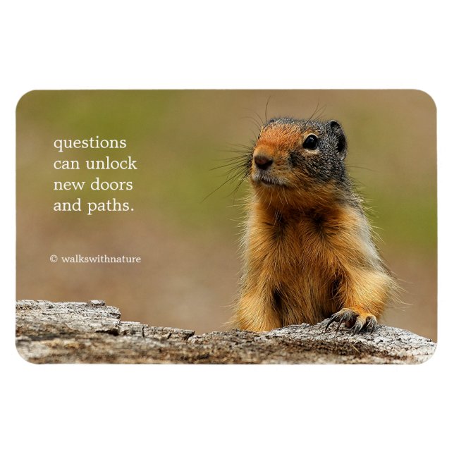 Funny Cute Saucy Columbian Ground Squirrel Magnet (Horisontell)