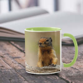 Funny Cute Saucy Columbian Ground Squirrel Mugg