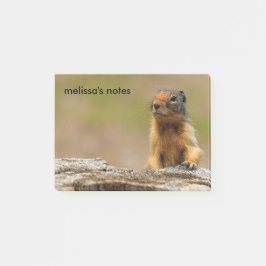 Funny Cute Saucy Columbian Ground Squirrel Post-it Block