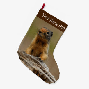 Funny Cute Saucy Columbian Ground Squirrel Stor Julstrumpa
