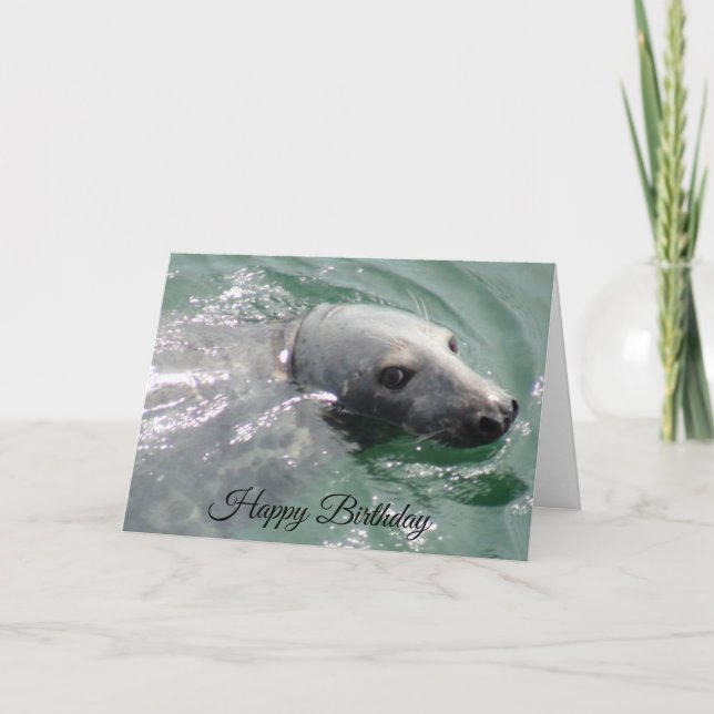 Funny Cute Seal Grattis på födelsedagen-kort Kort (Framsida)