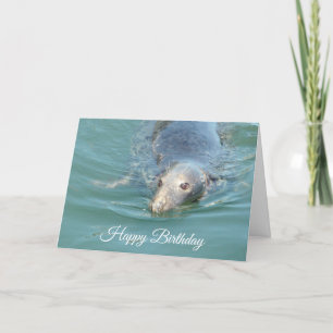 Funny Cute Seal Grattis på födelsedagen-kort Kort