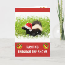 Funny Cute Skunk-jul