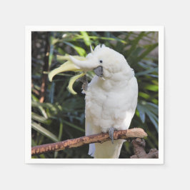 Funny Cute Sulfur Crested Cockatoo Vinkar Hej Pappersservett