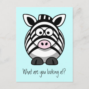 Funny Cute Zebra Postcard Vykort