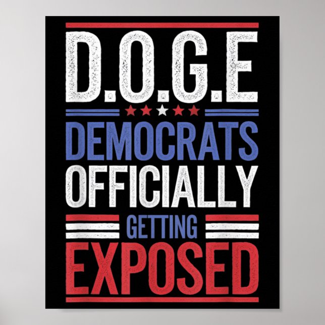 Funny D.o.g.e Doge Government Efficiency USA flagg Poster (Framsidan)