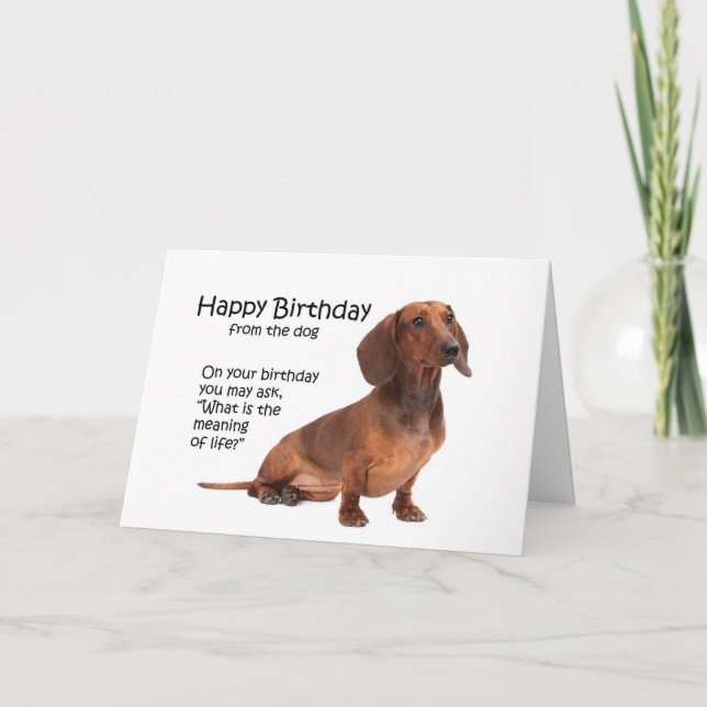 Funny Dachshund-födelsedagskort Kort (Framsida)
