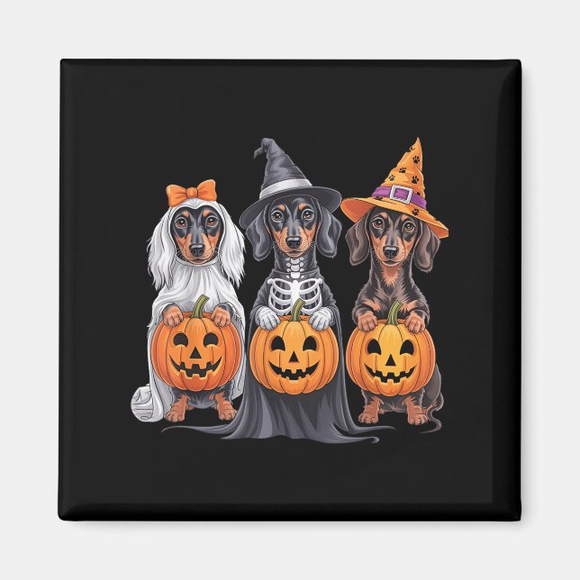 Funny Dachshund Halloween Pumpkin Weenie Hund Skel Magnet (Framsidan)