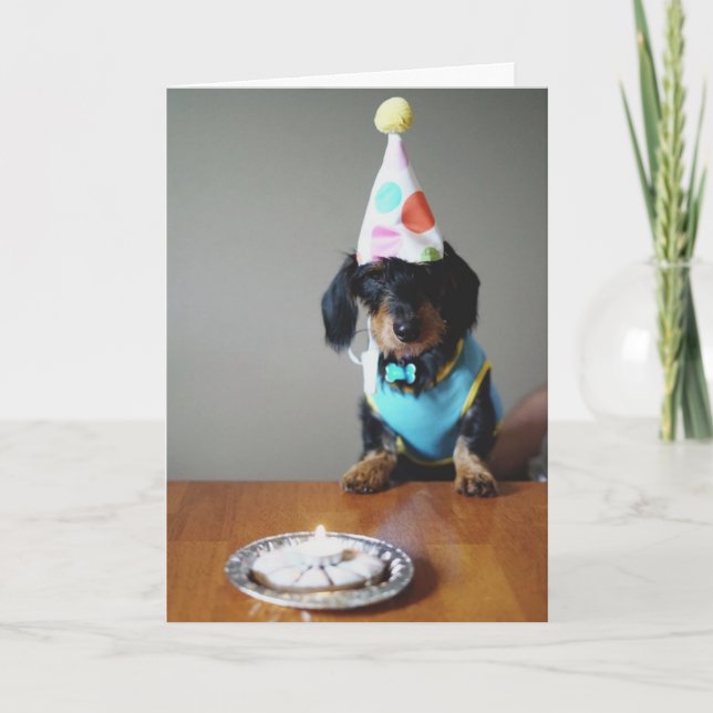 Funny Dachshund Hund Birthday Card Kort (Framsida)