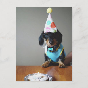 Funny Dachshund Hund Birthday Card Vykort