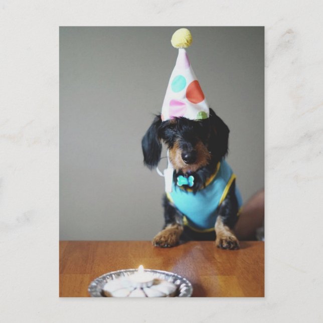 Funny Dachshund Hund Birthday Card Vykort (Framsida)