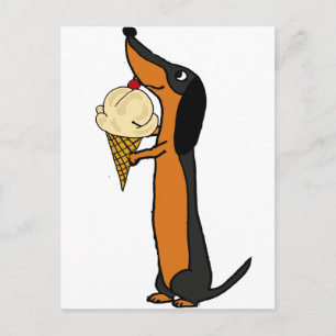Funny Dachshund Hund Eating Ice Cream Vykort