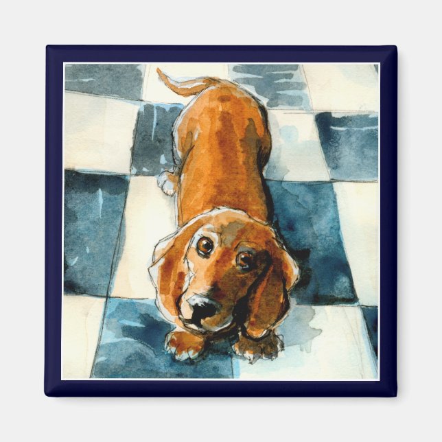 Funny Dachshund hund magnet (Framsidan)