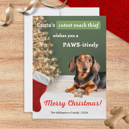 Funny Dachshund Hund Snack Thief Jul Julkort