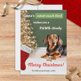 Funny Dachshund Hund Snack Thief Jul Julkort