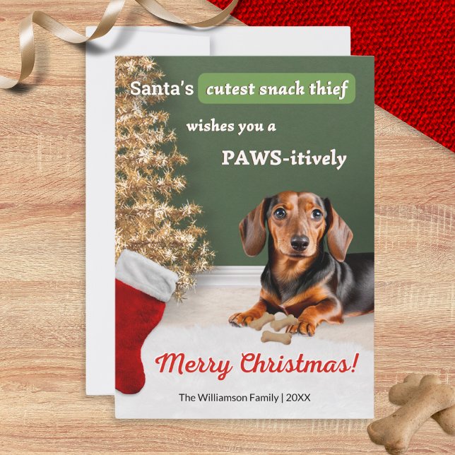 Funny Dachshund Hund Snack Thief Jul Julkort (A funny Christmas card with picture of a cute dachshund, wishing a 'Paws-itively Merry Christmas')