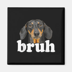 Funny Dachshund Meme som säger Bruh Rolig hund Sar Magnet
