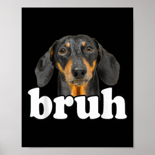 Funny Dachshund Meme som säger Bruh Rolig hund Sar Poster