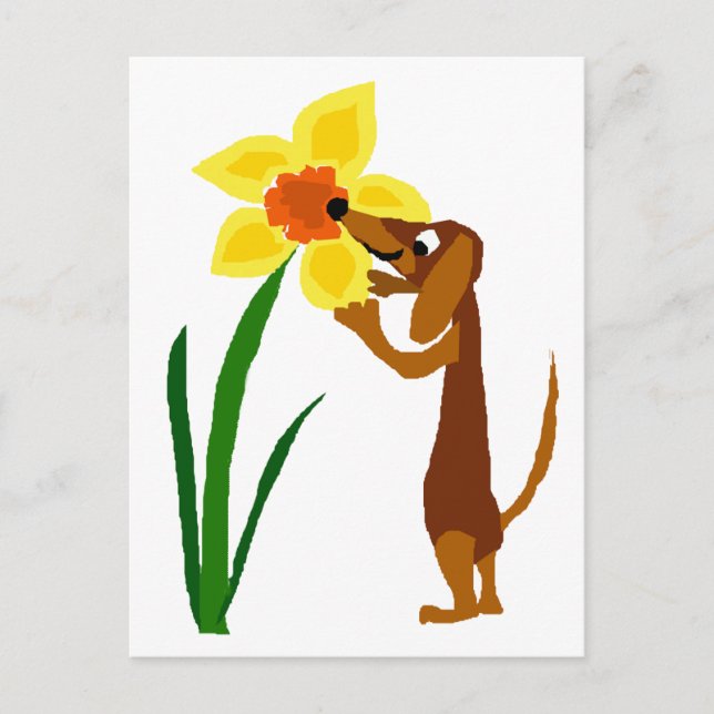 Funny Dachshund Smelling Gult Daffodil Vykort (Framsida)