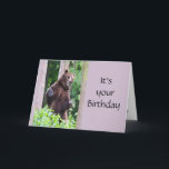 Funny Dancing Bear Birthday Animal Humor Kort<br><div class="desc">Det är din födelsedag och nu en dansbjörn. Roligt humor</div>